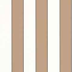Golden lines, csíkos tapéta, bézs tapéta, klasszikus tapéta