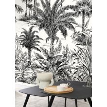 Nicoya poszter, casadeco poszter, trópusi poszter, pálmafa poszter, design poszter