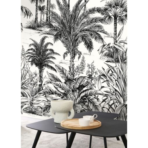 Nicoya poszter, casadeco poszter, trópusi poszter, pálmafa poszter, design poszter