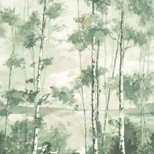 FORET BOREALE
