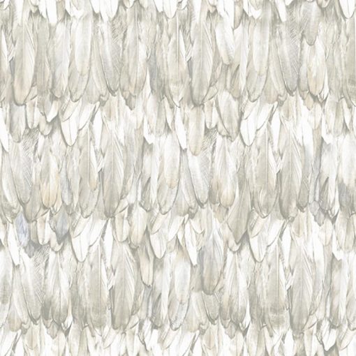 Bird feather design tapéta, madártoll tapéta, adawall tapéta, mintás tapéta, design tapéta