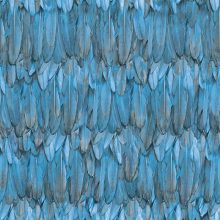 Bird feather design tapéta, madártoll tapéta, adawall tapéta, mintás tapéta, design tapéta