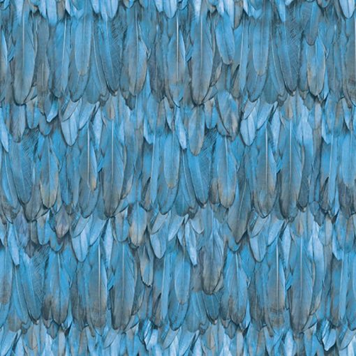 Bird feather design tapéta, madártoll tapéta, adawall tapéta, mintás tapéta, design tapéta