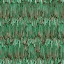 Bird feather design tapéta, madártoll tapéta, adawall tapéta, mintás tapéta, design tapéta