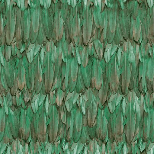 Bird feather design tapéta, madártoll tapéta, adawall tapéta, mintás tapéta, design tapéta