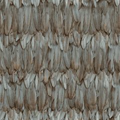 Bird feather design tapéta, madártoll tapéta, adawall tapéta, mintás tapéta, design tapéta