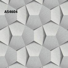vavex2024 A54601