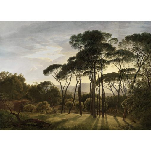 Pine Sunset 