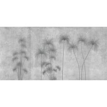 Shadows of the Pampa