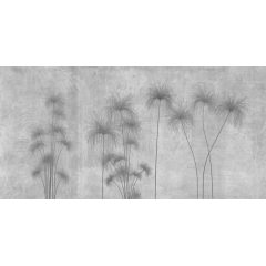 Shadows of the Pampa