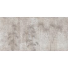 Shadows of the Pampa