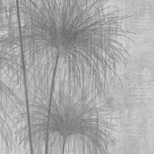 Shadows of the Pampa