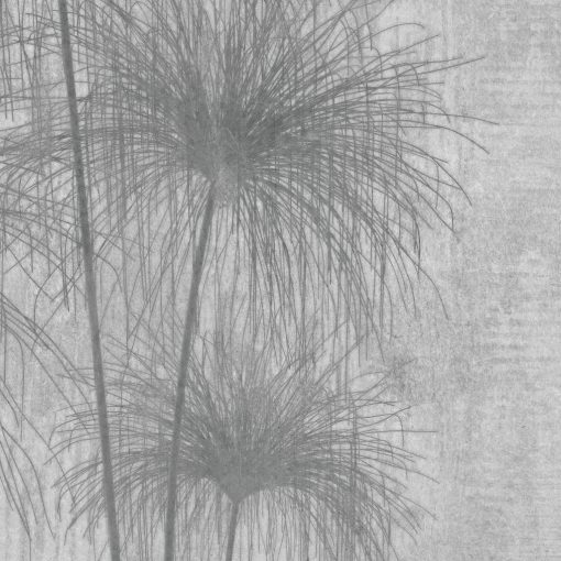 Shadows of the Pampa