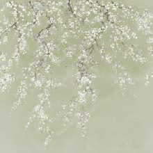 Sea of Blossoms 