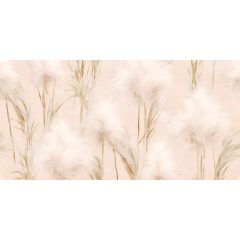 Fluffy Wild