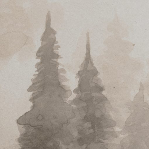 Hidden Wilds