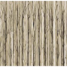 Enchanted Forest    Erdő mintás tapéta