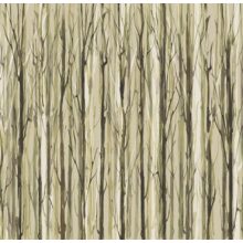 Enchanted Forest    Erdő mintás tapéta