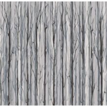 Enchanted Forest    Erdő mintás tapéta