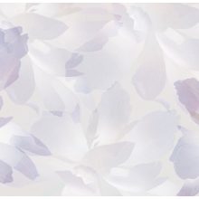 Eternity  Tapéta hatalmas virágokkal több színben