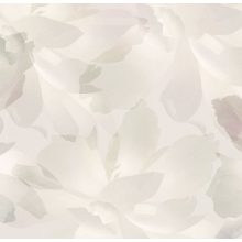 Eternity  Tapéta hatalmas virágokkal több színben