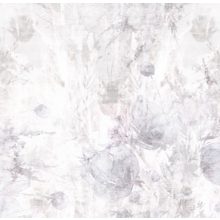 Wisteria     Tapéta letisztult virágos mintázattal