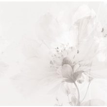 Soulmate   Tapéta gyönyörű virágokkal