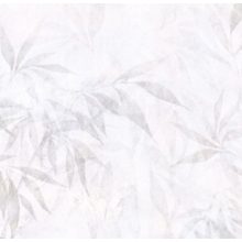 Eucalipto    Tapéta eukaliptusz levelekkel