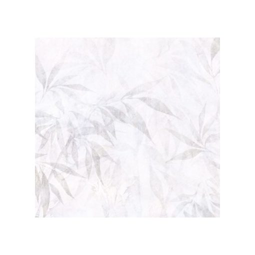 Eucalipto    Tapéta eukaliptusz levelekkel