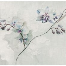 Mara     Orchidea mintás tapéta
