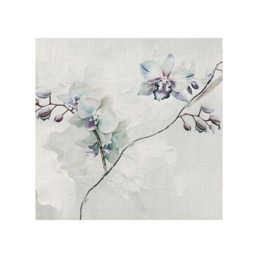 Mara     Orchidea mintás tapéta