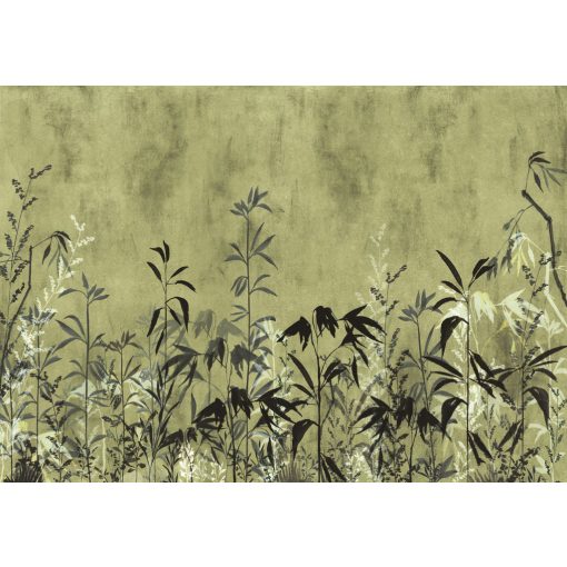 Beige Perenne