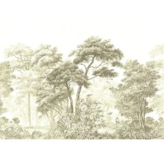 Orinoco Sepia