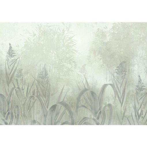Marsh