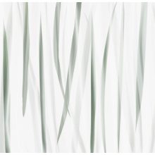 Morning Light   Letisztult növény mintás tapéta