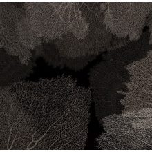 Corales- Korall mintás tapéta