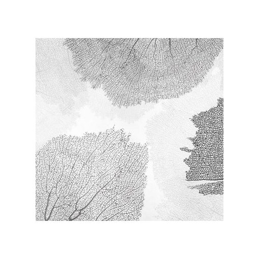 Corales- Korall mintás tapéta