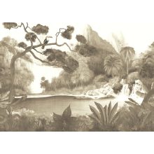 Toucan, trópusi mintás tapéta, tájkép mintás tapéta