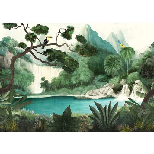 Toucan, trópusi mintás tapéta, tájkép mintás tapéta