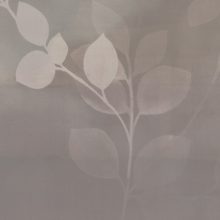 Morning Mist 