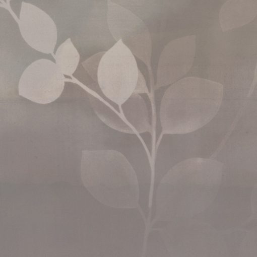 Morning Mist 