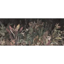 Dry Botanic