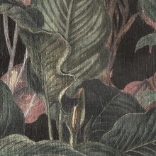 Dry Botanic