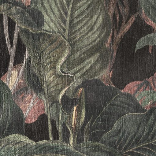 Dry Botanic