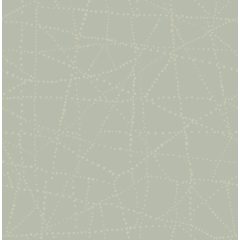 Alcott, pöttyös tapéta, tapéta dolgozószobába