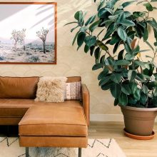 Encircle egyedi mintás tapéta, tapéta nappaliba