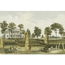 White building design