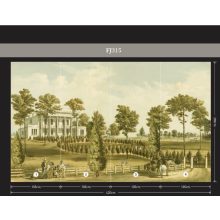 White building design