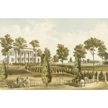 White building design