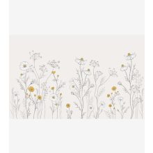 Chamomile - Panoramic chamomile flower